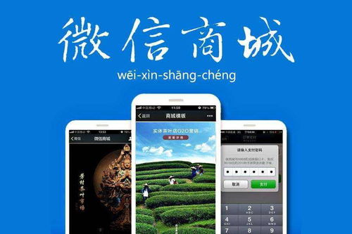 成都微信開發 企業如何進行微信二次開發與基礎軟件服務