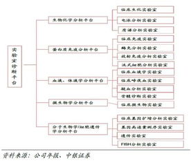 迪安診斷 基本概況、商業模式與產業生態分析